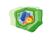 Eukaryotic cell